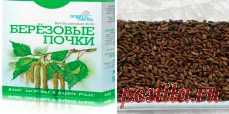 Суперсредство от надоевшего насморка и гайморита! Хватает один-два раза сделать и все проходит. — Копилочка полезных советов