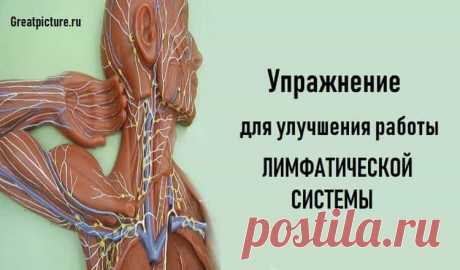 Упражнение для улучшения работы ЛИМФАТИЧЕСКОЙ СИСТЕМЫ
