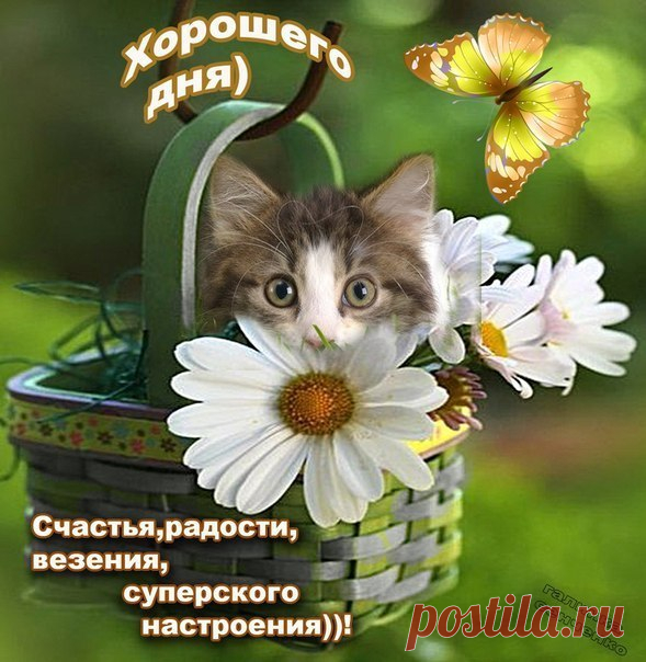 Мужской белоснежный свитер с аранами