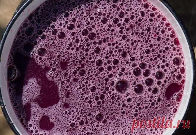 Вино из винограда Молдова в домашних условиях – рецепт