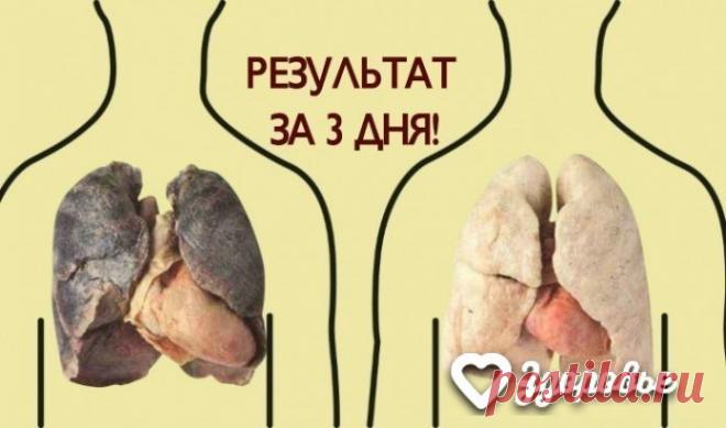 Самый классный способ очистить легкие! Самый классный способ очистить легкие! 
Вот что вам понадобится: 
- 1 небольшой кусочек корня имбиря; 
- 2 чайные ложки куркумы; 
- 1 литр воды; 
- 400 г чеснока (очищенного, и порезанного на дольки); 
- 400 г сахара (может быть обычным, но в идеале — коричневый). 
Что делать: 
Нагрейте воду в кастрюле. Когда она закипит, добавьте в нее сахар, чеснок, имбирь и куркумы. 
Сахар добавляйте последним. 
Варите смесь на медленном огне до те...