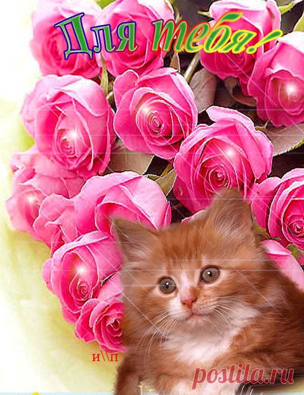0_780dd_f1b7f528_XL (593×771)