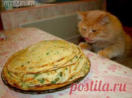 Блинное настроение)