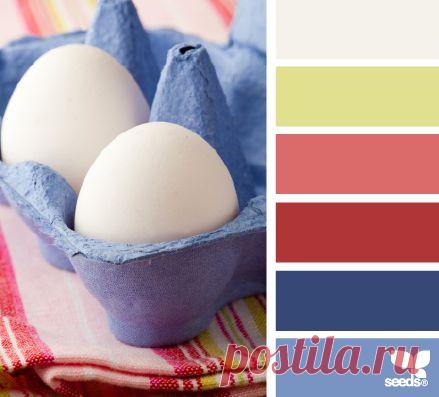 Design Seeds® | for all who ❤ color