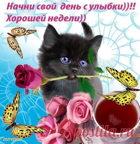 Лия Золотова