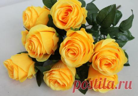 ЖЁЛТЫЕ РОЗЫ...