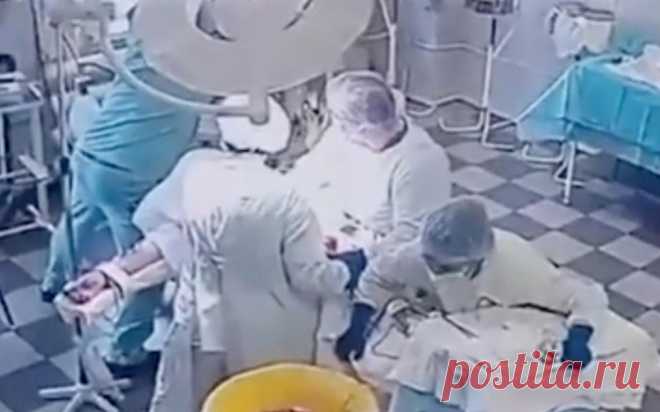 «Трясло очень сильно»: очевидцы — о землетрясении на Камчатке. Произошедшее на Камчатке 30 июля землетрясение в РАН сочли сильнейшим с 1952 года — его магнитуда составила 8,7.
