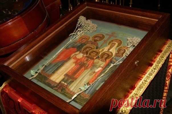 НА ИКОНЕ СТРАСТОТЕРПЦЕВ ПРОРОСЛИ ЗАСОХШИЕ ЦВЕТЫ

Каждый день, подаренный Господом, - чудо. Как часто мы забываем об этом, сетуя на здоровье, проблемы в семье и на работе! И тогда для нашего вразумления Бог являет нам примеры животворящей силы молитвы и веры. Их множество, вот один из них.

В подмосковном Звенигороде в Саввино-Сторожевском монастыре на засушенных цветах, лежавших под стеклом иконы царственных страстотерпцев, появились зеленые побеги.

Высушенные цветы были ...