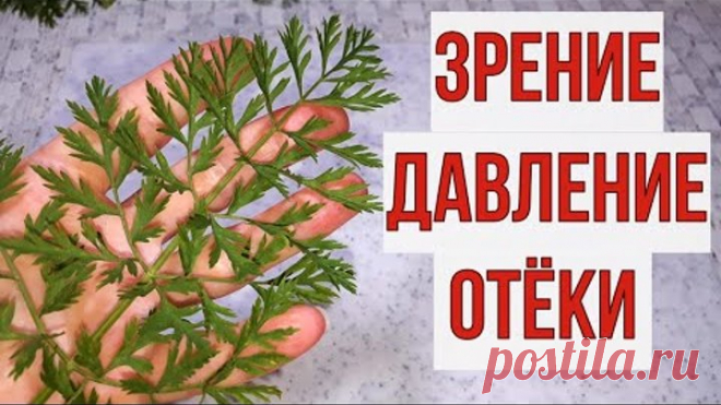 Выпил кружку и забыл о плохом зрении, давлении, отёках и ещё о ста болезнях