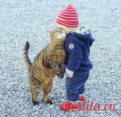 (1) Facebook