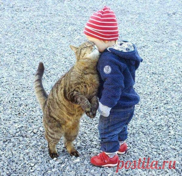 (1) Facebook