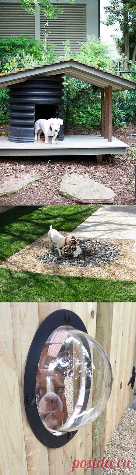 Оригинальные приспособления для собак. 4 идеи | Дом-Цветник