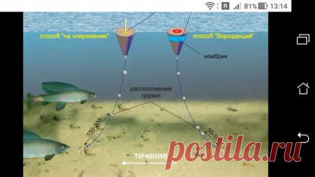 Ловля хариуса способом "На опережение" и"бороздящий" | Фото заметки из моей жизни в Крым | Яндекс Дзен