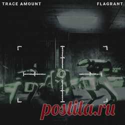 Trace Amount - FLAGRANT (2025) 320kbps / FLAC