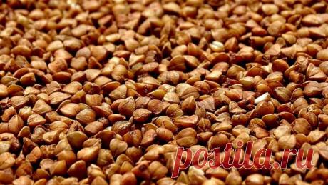 Разгружаем желудок на праздниках. Готовим гречневый суп! | ЛИС&amp;ФИЗАЛИС | Яндекс Дзен