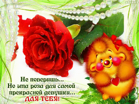 Картинки для «Самой красивой девушки на свете!» (35 фото) ⭐ Забавник