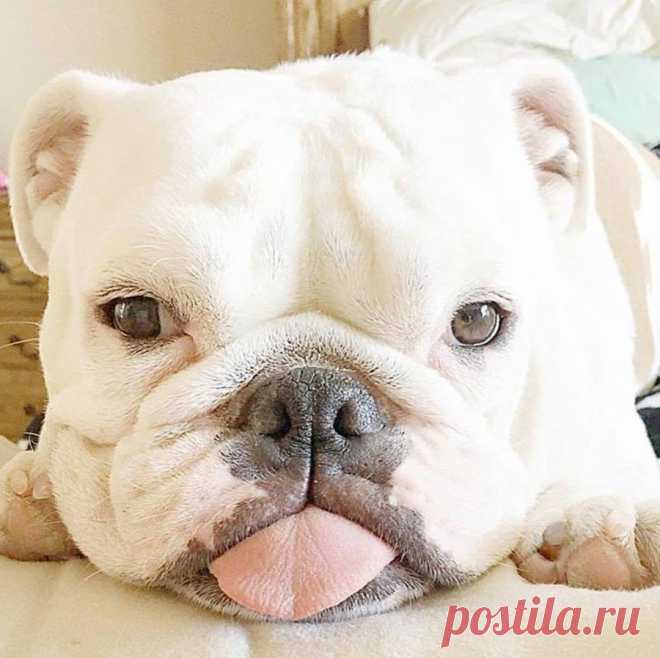 (20+) Facebook
