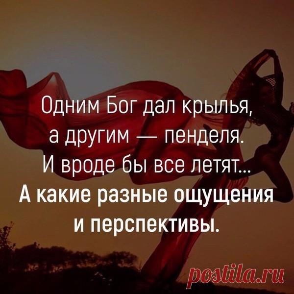 (3) Мой Мир@Mail.Ru