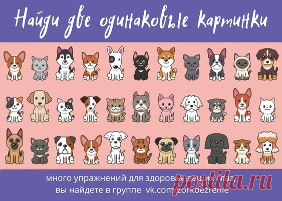 ВОССТАНОВИТЬ ЗОРКОЕ ЗРЕНИЕ С ЕВГЕНИЕМ СЛОГОДСКИМ