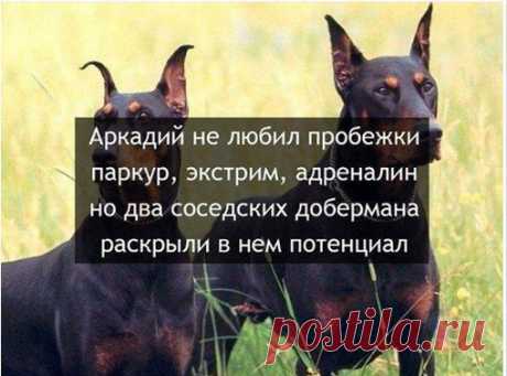 Вы всё ещё ленитесь? Тогда мы идём к Вам! :)))