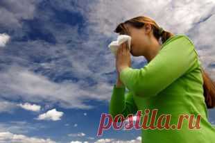 Как спастись от аллергии весной. Советы эксперта | Здоровая жизнь | Здоровье | Аргументы и Факты