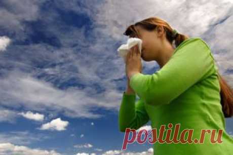 Как спастись от аллергии весной. Советы эксперта | Здоровая жизнь | Здоровье | Аргументы и Факты