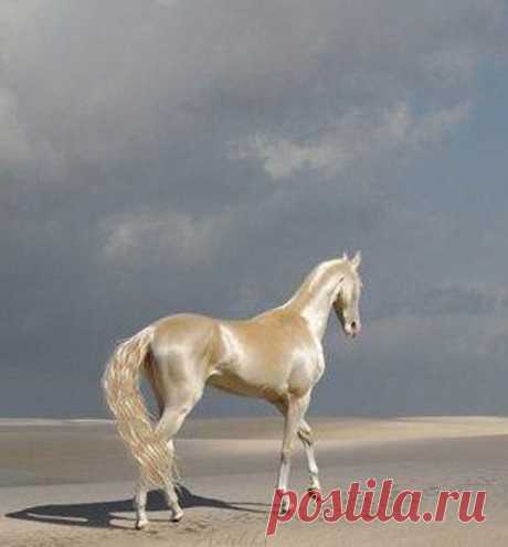 Интересные новости