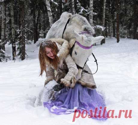 лошади