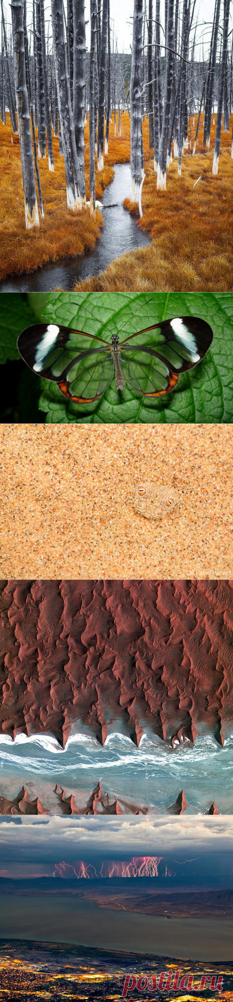 20 фото, над созданием которых потрудилась сама природа