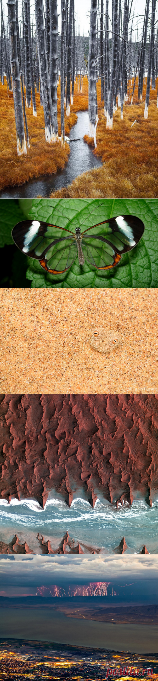 20 фото, над созданием которых потрудилась сама природа