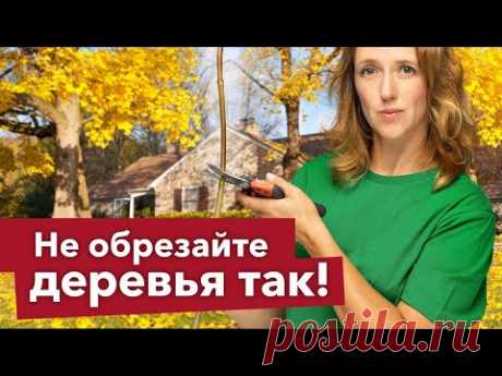 5 ЧАСТЫХ ОШИБОК ПРИ ОБРЕЗКЕ, которые погубят ваши деревья! Проверьте, не делаете ли вы их?
