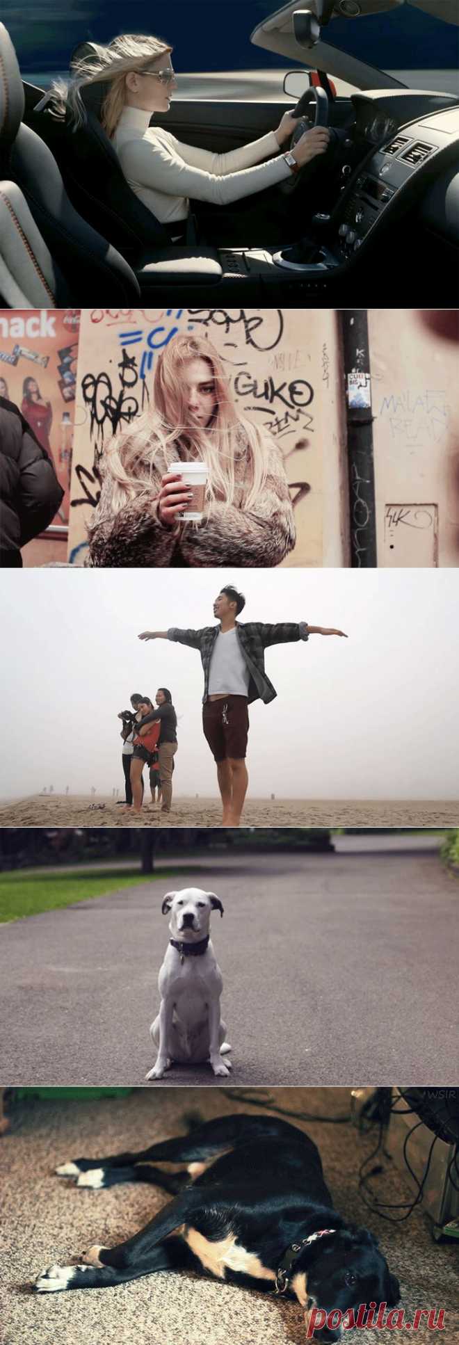 И снова они - "живые" фотоснимки! (23 фото)