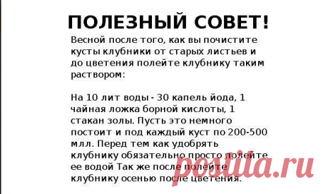 (65) Одноклассники