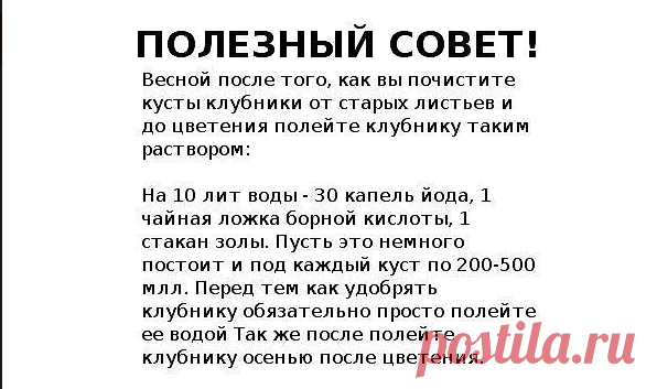 (65) Одноклассники
