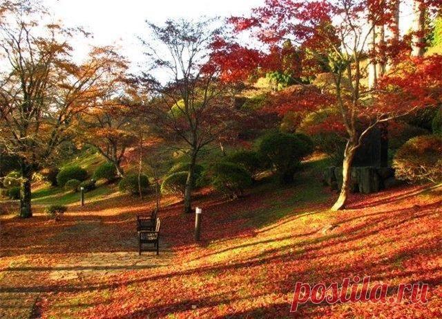 В Японии в школьной программе есть очень важные уроки - уроки любования природой. | Красивые и интересные фото-(и не только) работы - свои и чужие