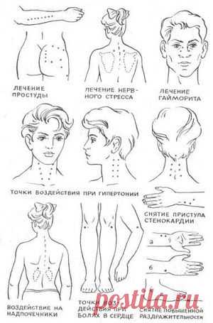 Лечебные точки на теле