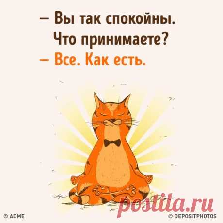 15 открыток с психологическим юмором: goo.gl/bJKvgb