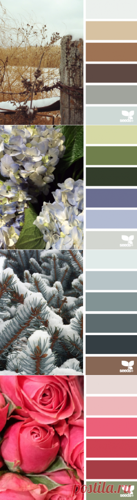 design seeds | for all who ♥ color