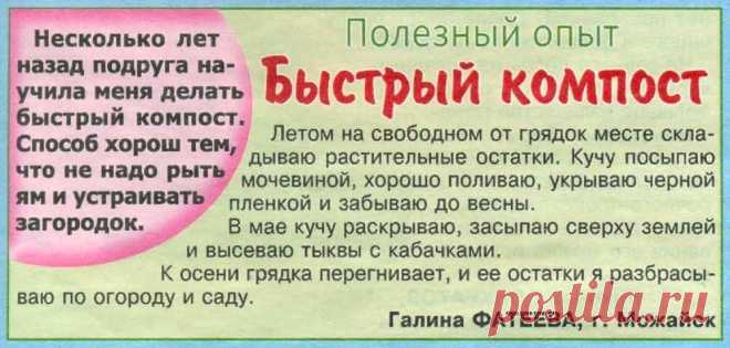 Быстрый компост