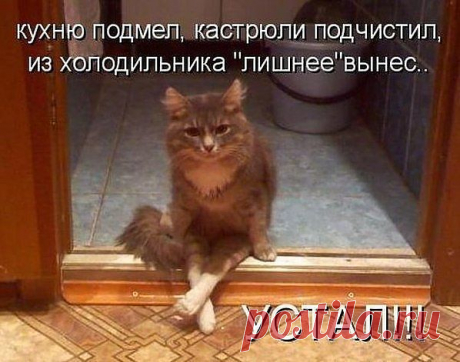 Новости