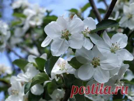 С добрым утром друзья 💝