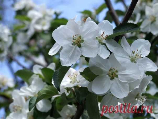 С добрым утром друзья 💝