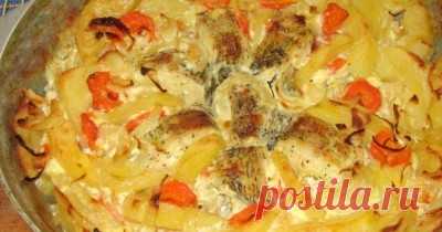 Щука - 56 рецептов приготовления пошагово - 1000.menu
