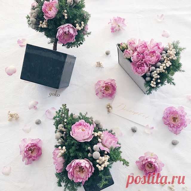 December 14 2019
・
・
・
Happy Saturday everyone🙋🏻‍♀️
・
I will have my workshop next week🌸
You can choose 3 type of arrangements
tree🎄or topiary🌳orcake🍰🙆🏻‍♀️
Which do you like?😄
・
・
・
今日はお知らせです🙋🏻‍♀️✨
・
来週12月18日から24日まで
浦和伊勢丹にて期間限定ショップを
オープンします🎉
・
同時に予約不要のワークショップを
開催します💕
・
当日その場で選べるアレンジメントは
3種類👀🎄🌳🍰✨✨✨
・
クリスマスツリーかトピアリーか
フラワーケーキを私が懇切丁寧に
レッスンしちゃいます🙋🏻‍♀️💕
・
どれも可愛いのでお好きなスタイルを
選んで是非是非ご参加くださいね💕
・
基本的には浦和伊勢丹の営業時間は
連日私もいるつもりですので
浦和伊勢丹でお会いしましょう〜😘
みなさん来週は浦和伊勢丹にGO🏃‍...