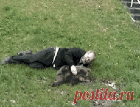 Мой Мир@Mail.Ru