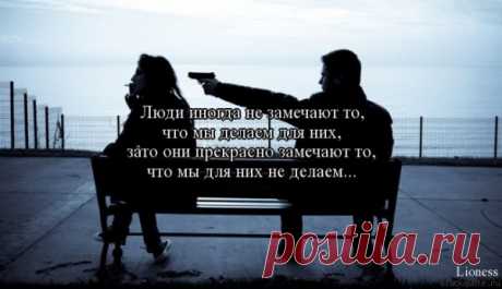 Цитаты, умные мысли / Pinme