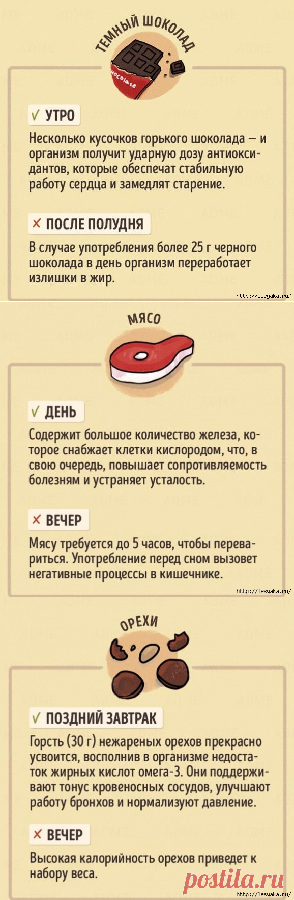 В какое время дня полезно есть те или иные продукты!