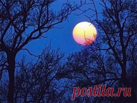 Елена Ясевич: вред и польза полнолуния по лунному календарю