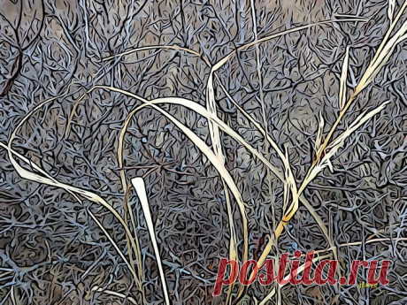 Фото и рисунки, арт и креативная реклама