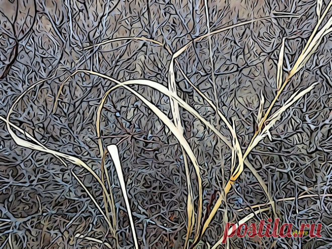 Фото и рисунки, арт и креативная реклама